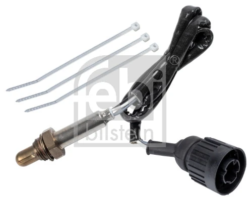 Oxygen Sensor